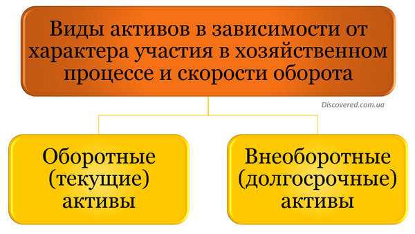 Види активів залежно від характеру участі у господарському процесі та швидкості обороту Види активів залежно від характеру участі у господарському процесі та швидкості обороту