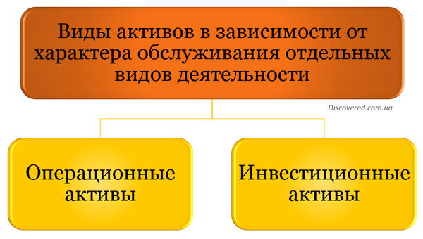 Види активів залежно від характеру обслуговування окремих видів діяльності Види активів залежно від характеру обслуговування окремих видів діяльності