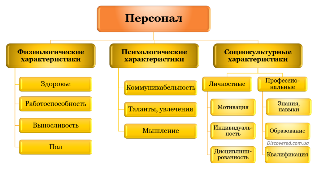 Класифікація персоналу Класифікація персоналу