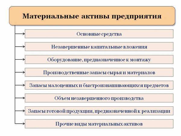 Матеріальні активи підприємства