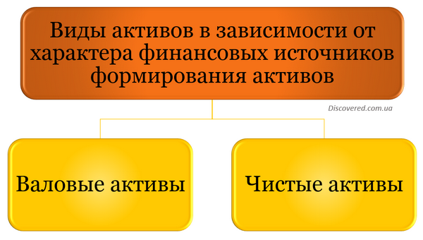 Види активів залежно від характеру фінансових джерел формування активів Види активів залежно від характеру фінансових джерел формування активів