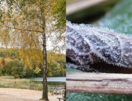 Temperatūra kris žemiau 10 laipsnių, žemę nuklos šalnos: sinoptikai skubiai įspėja dėl orų