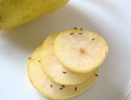 Vaisinių muselių neliks nė kvapo: štai ką reikia padaryti