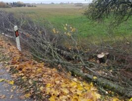 Kaunietis Julius teigia išvydęs šokiruojantį vaizdą prie sodybos – „Via Lietuva“ siunčia žinią visiems gyventojams