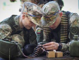 Estija siunčia karius į Grenlandiją – Lietuva siūlo eiti kitu keliu