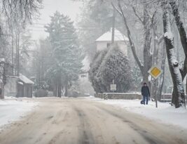 Stiprus snygis jau užklupo Panevėžį: kelius valo ir ūkininkai