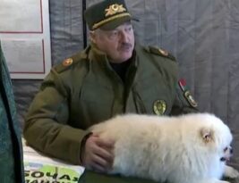 Zelenskis: Lukašenkos šuo turi daugiau teisių nei Baltarusijos tauta