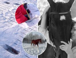 Kraupi žirgo žūtis prie Molėtų plento vyko šeimos akyse: „Aš tai verkiu, dar ieškau pagalbos ir iš medikų“