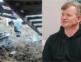 Garsaus Lietuvos dainininko ūkyje – šiurpą keliantis vaizdas: tvarte rastos gaišenos